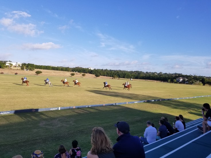 2019-02-17 17.02.23-1